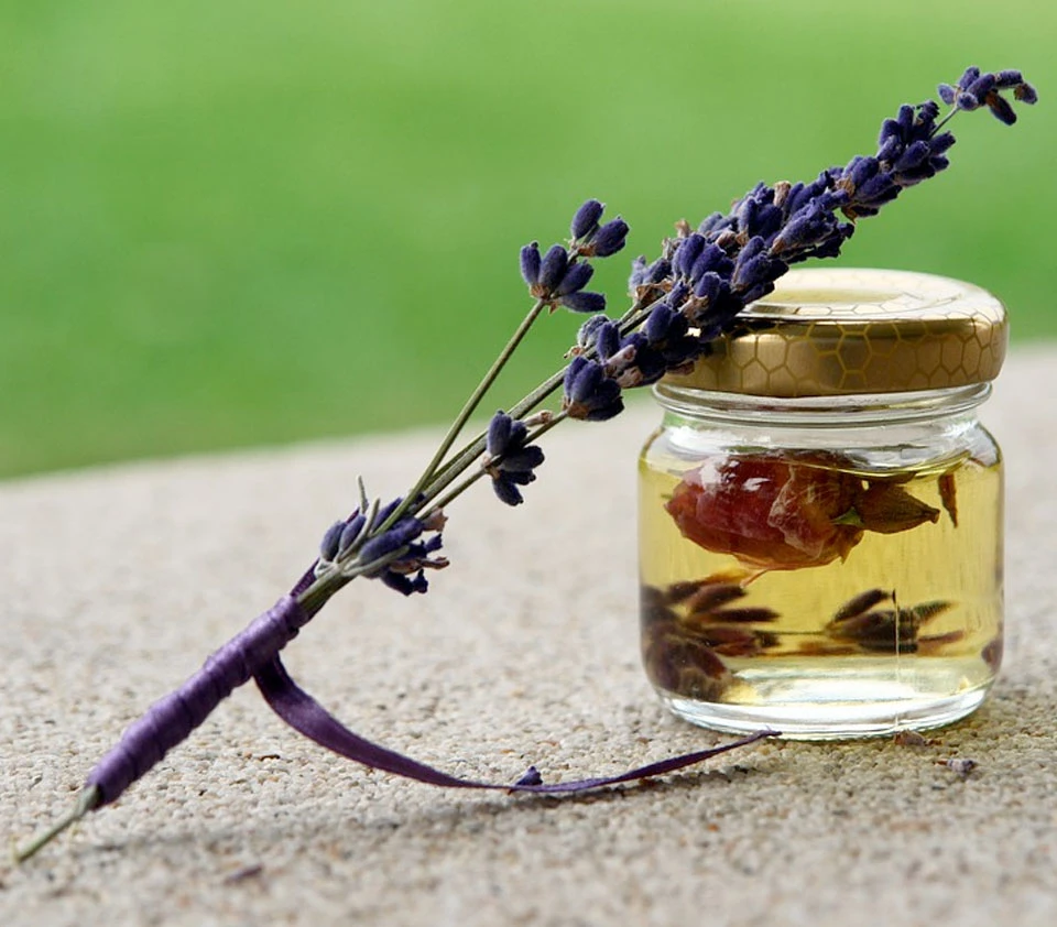 image of a bottle with essential oils and plants
